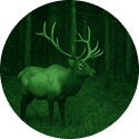 Hunting use